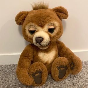Talking bear